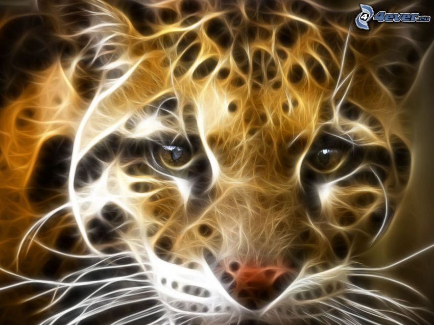 ghepardo frattale, frattali di animali
