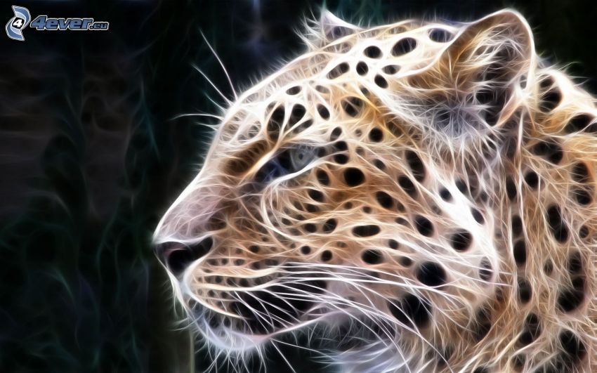 ghepardo frattale
