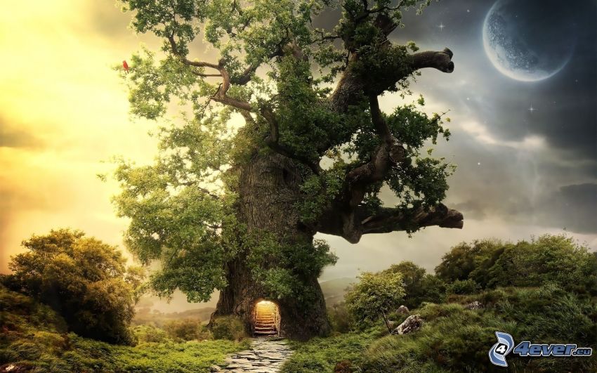 grande albero, abitazione, luna, fantasy