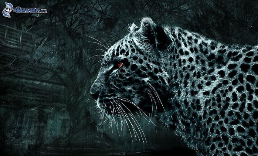 leopardo frattale