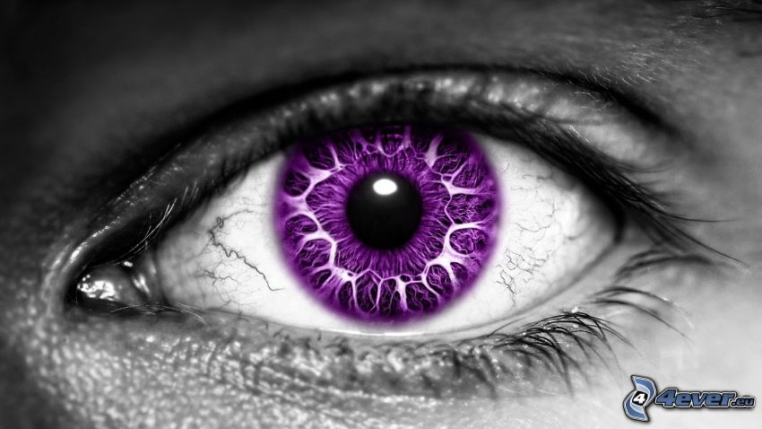 occhio viola