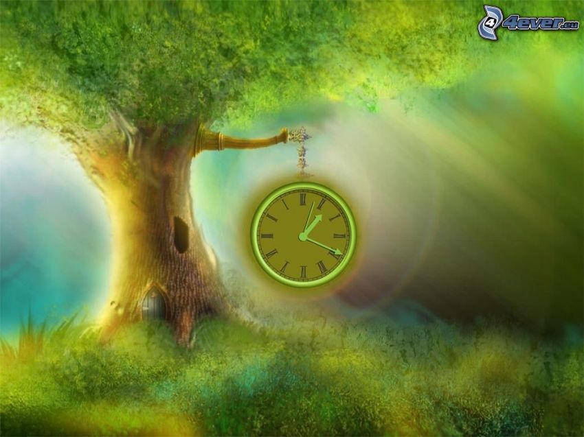 orologio analogico, grande albero, abitazione, verde