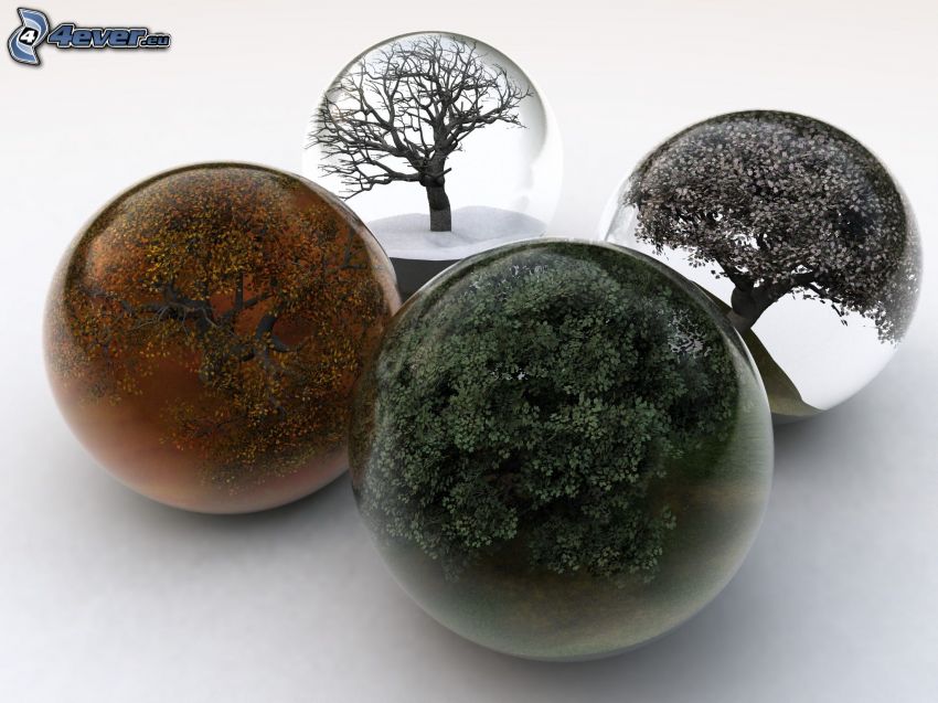 stagioni, sfere di vetro, alberi
