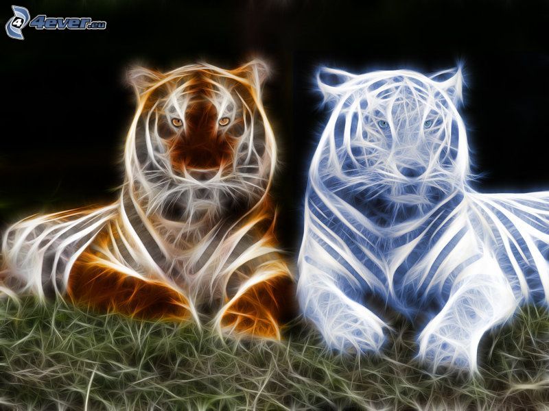 tigri, tigre frattale, frattali di animali