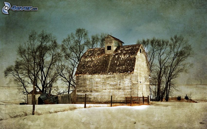 chalet, alberi