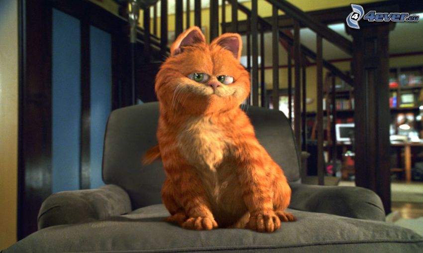 Garfield, sedia