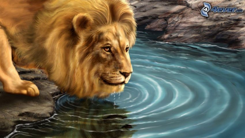 leone disegnato, acqua