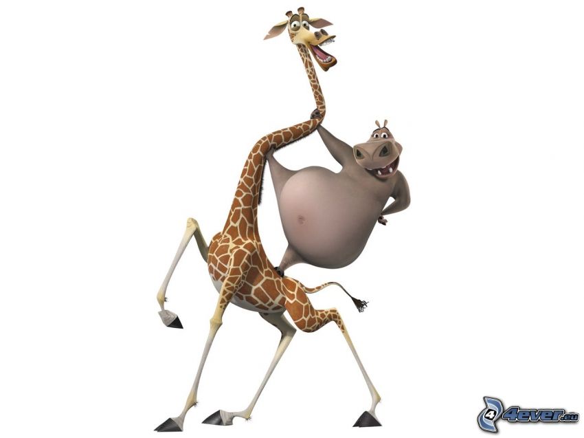 Madagascar, giraffa dal Madagascar, ippopotamo