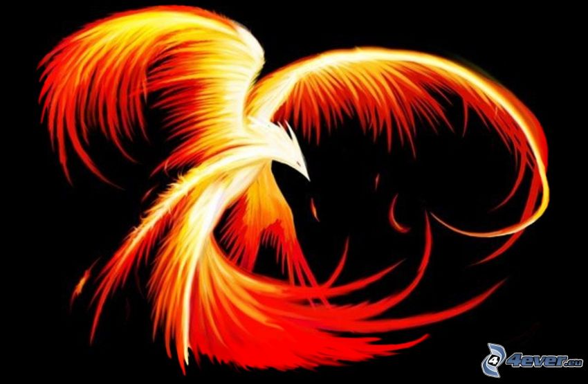 Phoenix, uccello di fuoco
