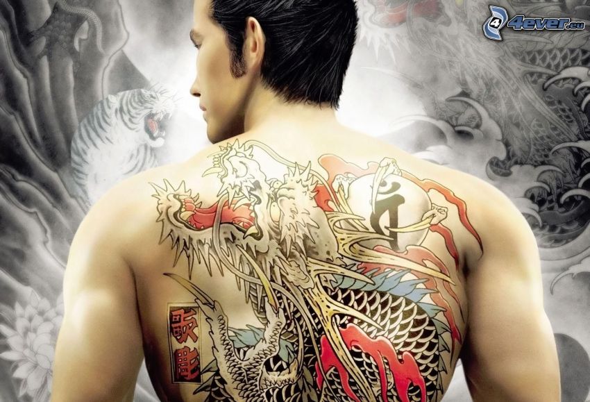 tatuaggio, drago disegnato, schiena, uomo