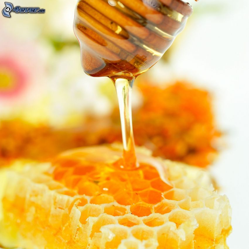 cera d'api, cucchiaio per miele, miele