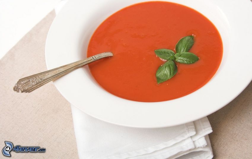 zuppa di pomodoro, basilico