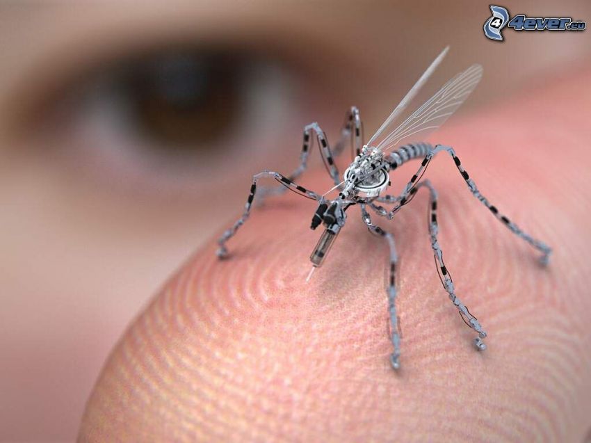 zanzara, robot