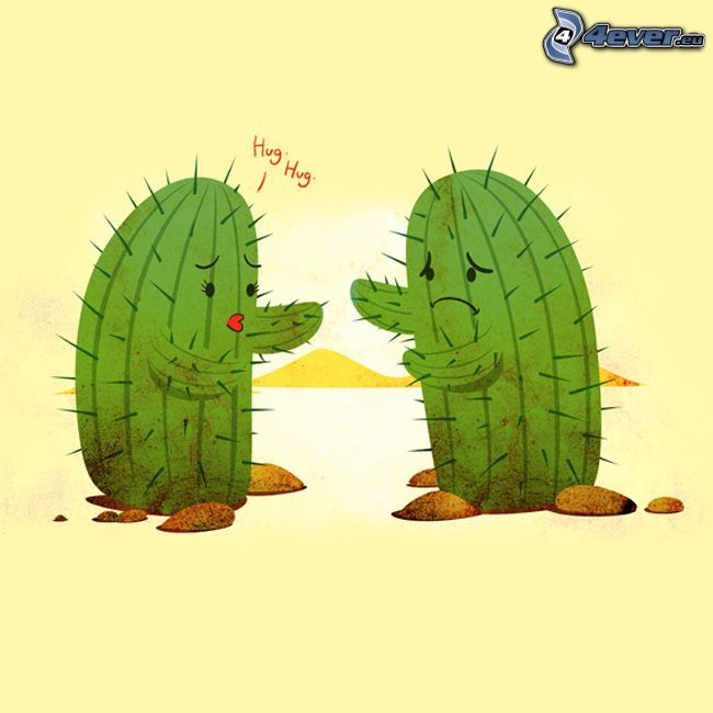 cactus, amore, abbraccio