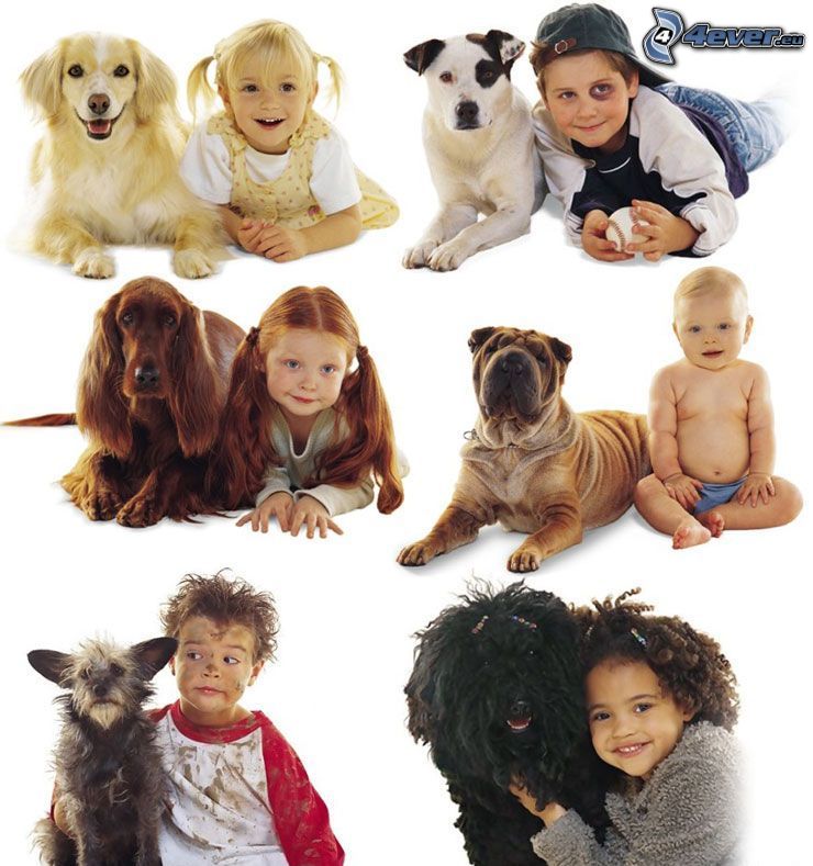 cane e suo padrone, cani, bambini