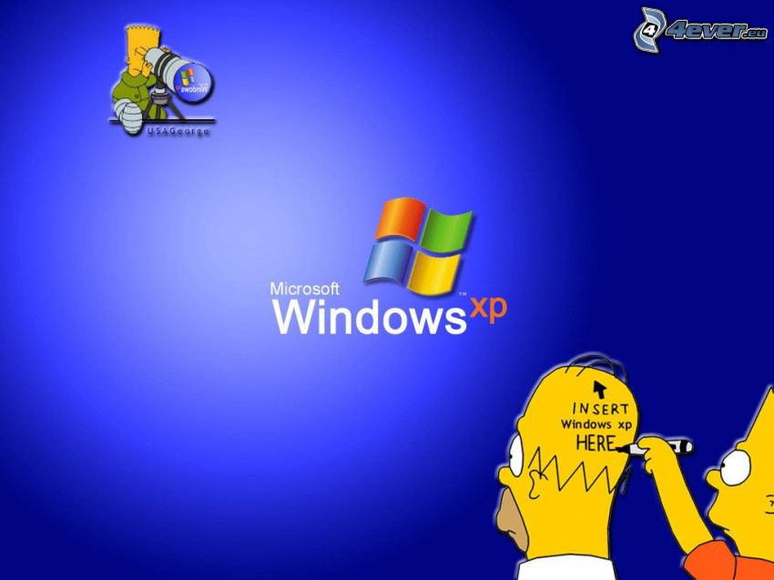 I Simpson, Windows XP