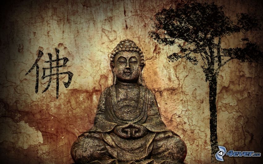 Buddha, albero