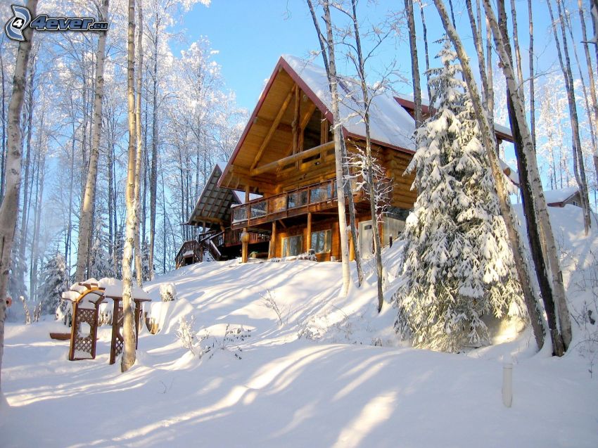 chalet coperto di neve, alberi coperti di neve