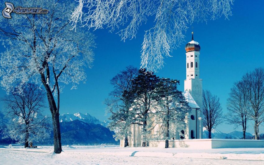 chiesa, alberi coperti di neve