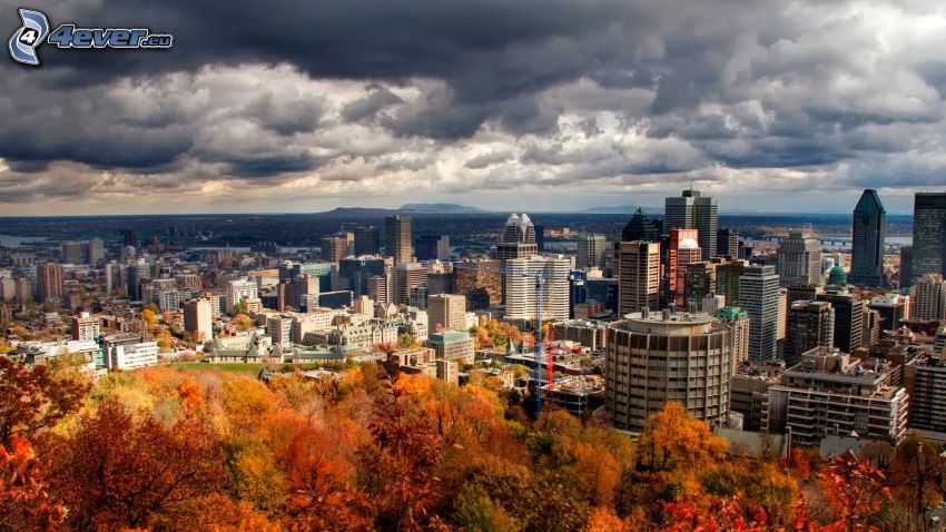 Montreal, nuvole, alberi colorati d'autunno