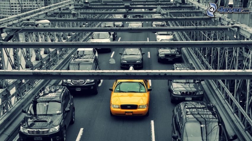 NYC Taxi, ponte