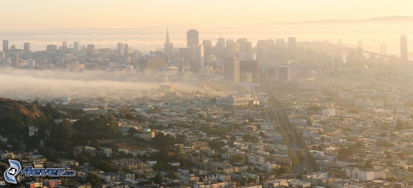 San Francisco, grattacieli, nebbia a pochi centimetri dal terreno