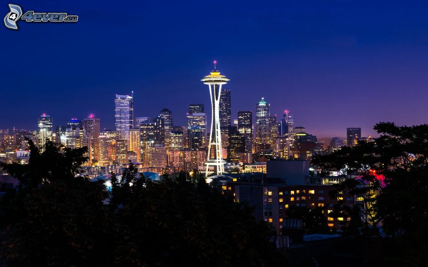 Seattle, Space Needle, città notturno