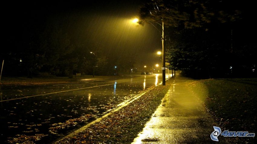 Strada di notte, lampioni, pioggia
