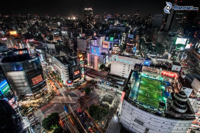 Tokyo, stadio, città notturno