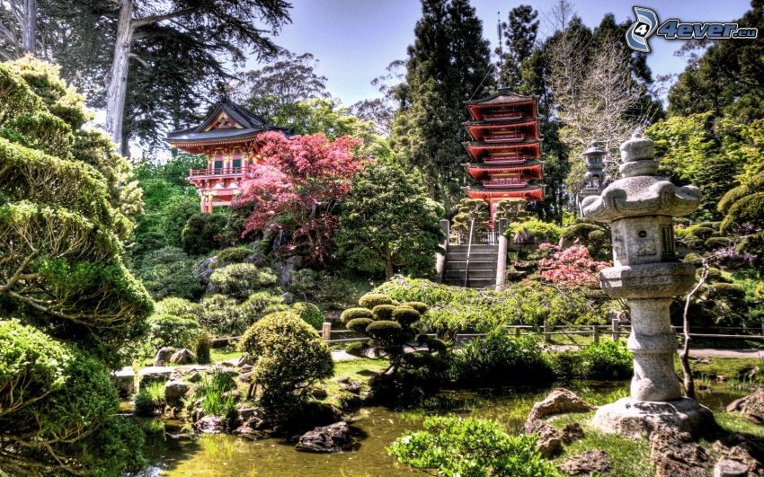 giardino, Giappone, HDR