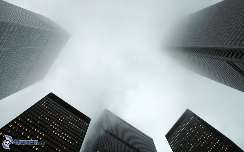 grattacieli, nebbia
