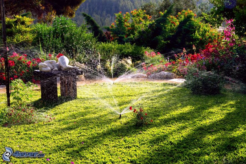 giardino, fiori, irrigazione