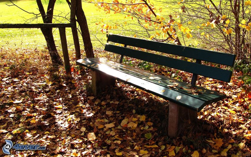 panchina, foglie di autunno