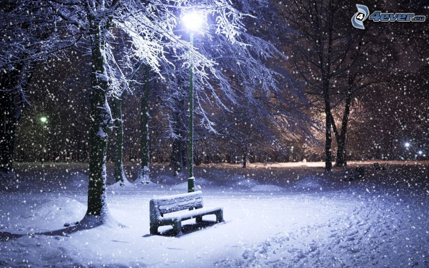 panchina coperta da neve, lampioni, alberi coperti di neve, nevicata