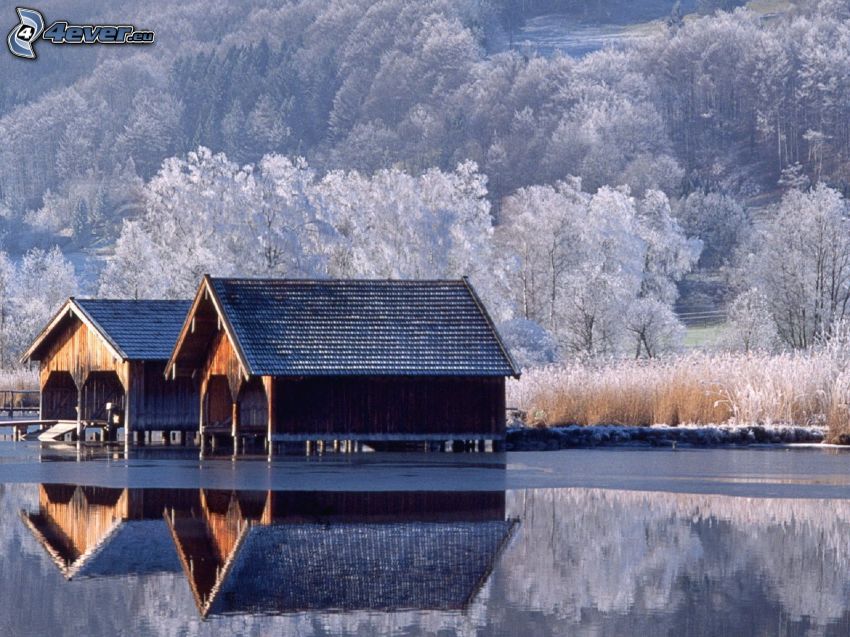 piccole case, lago, alberi coperti di neve