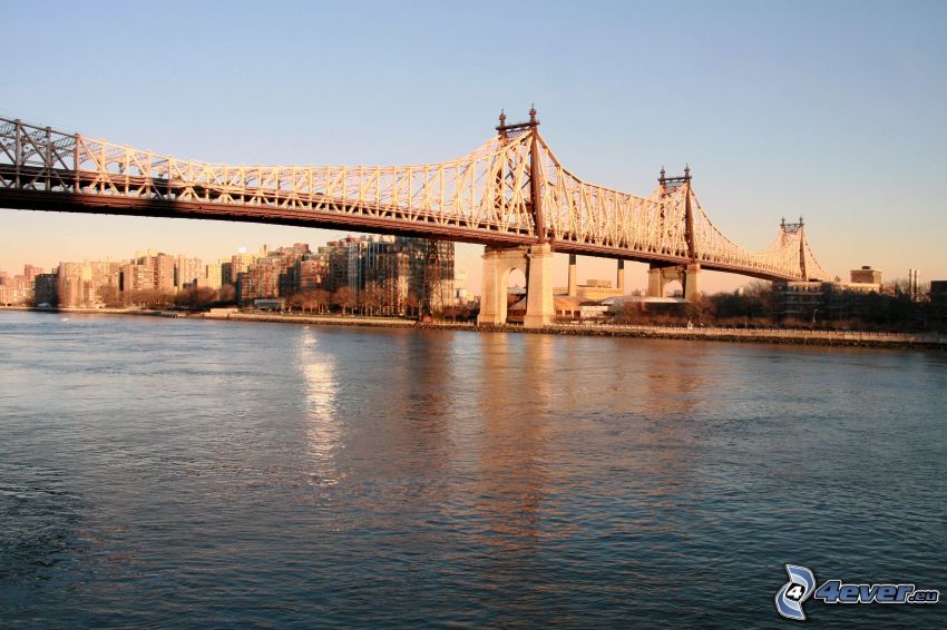 Queensboro bridge, il fiume, grattacieli