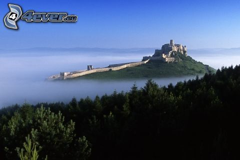 Castello di Spiš, Slovacchia, bosco di conifere, nebbia, inversione termica