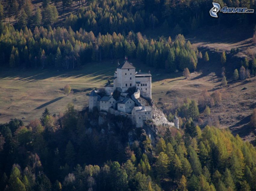 castello di Tarasp, bosco di conifere