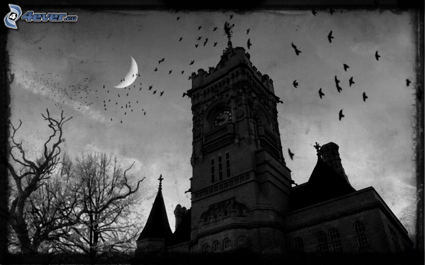 chiesa, luna, stormo di uccelli