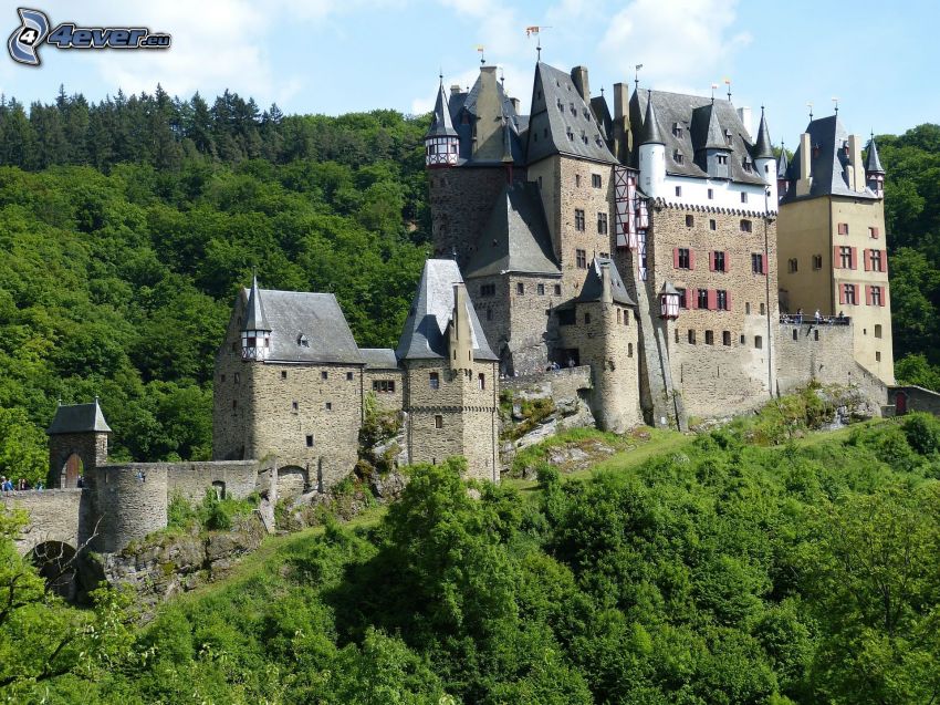 Eltz Castle, foresta verde