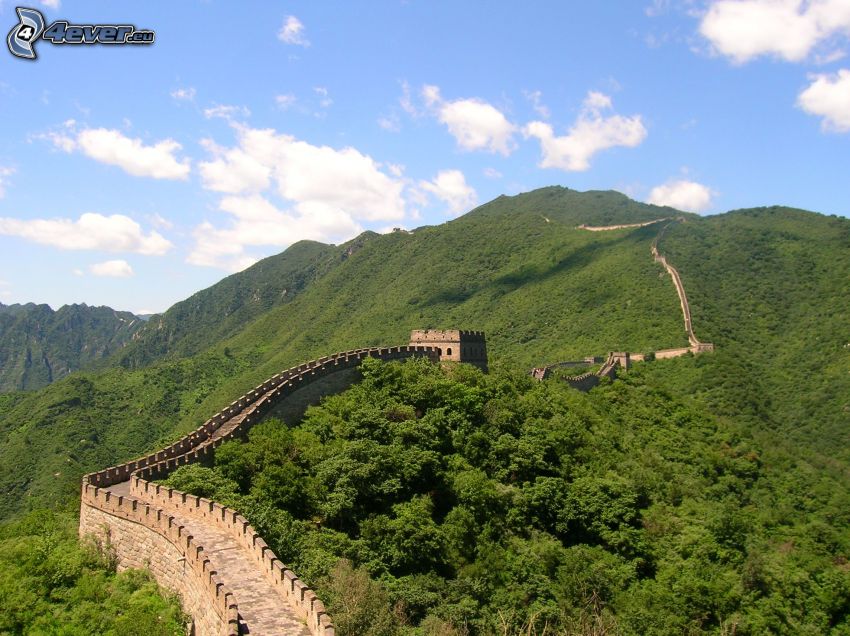 Grande muraglia cinese, foresta