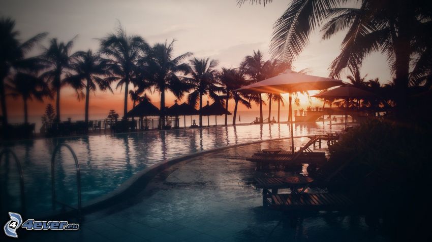 tramonto dietro le palme, piscina, ombrelli