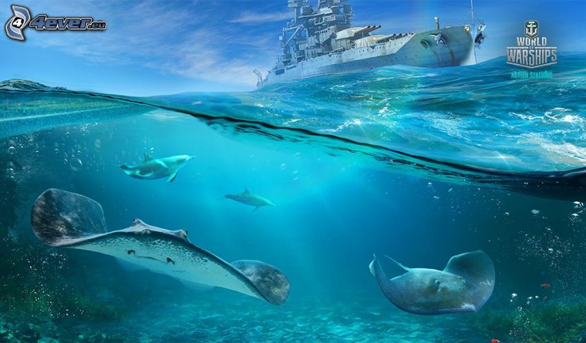 World of Warships, delfini, razze