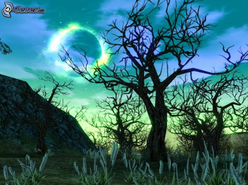Lineage 2, notte, foresta