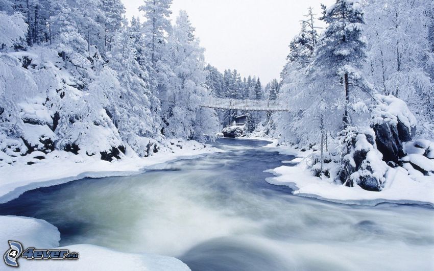 alberi coperti di neve, il fiume, ponte