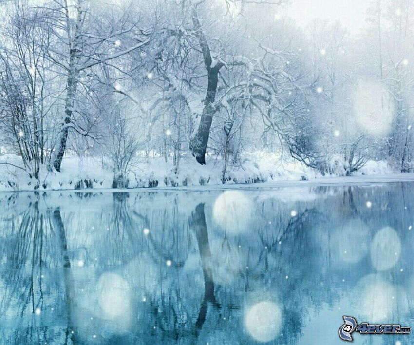 alberi coperti di neve, il fiume