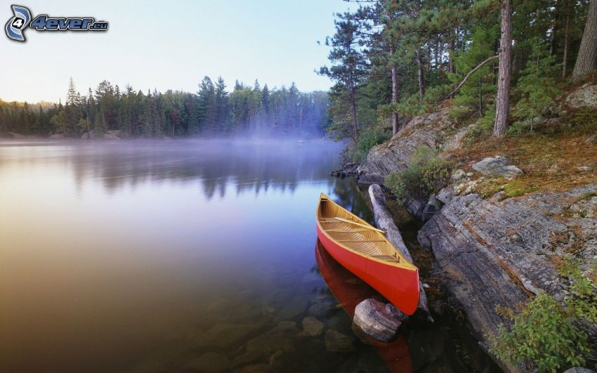 canoa, lago, bosco di conifere