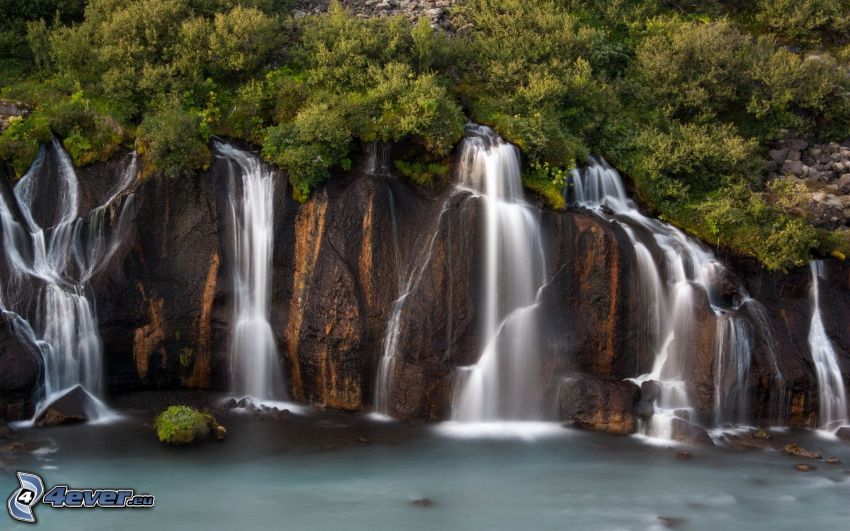 cascate, rocce, alberi