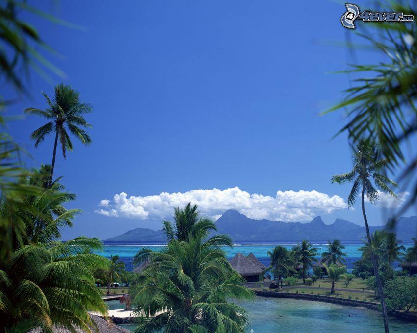 bungalow sul mare a Bora Bora, vista sul mare, palme, baia