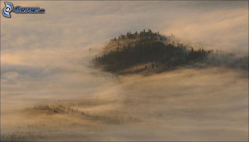 collina, nebbia a pochi centimetri dal terreno